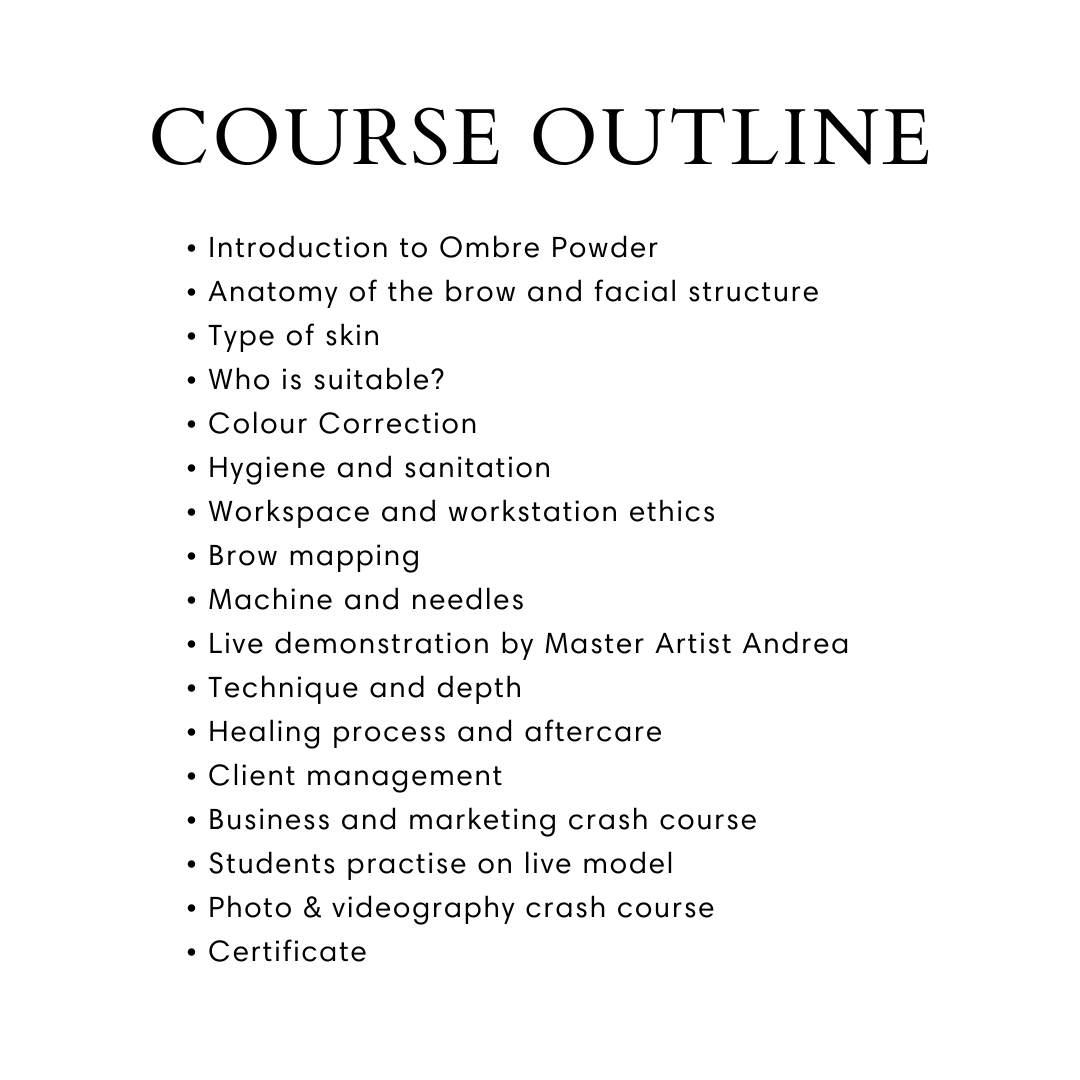 Ombré Powder Brows Course