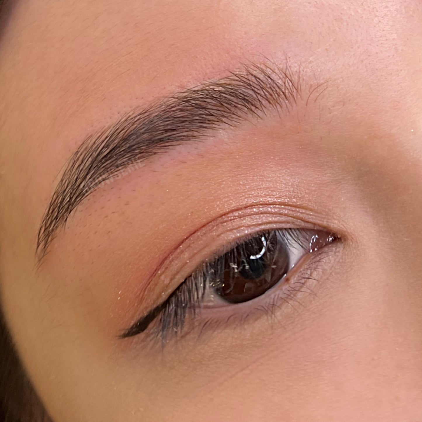 Signature Feathered Microblading (2 sessions)