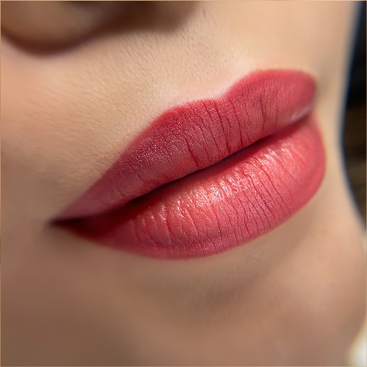 Lip Blush (1 free touch up)