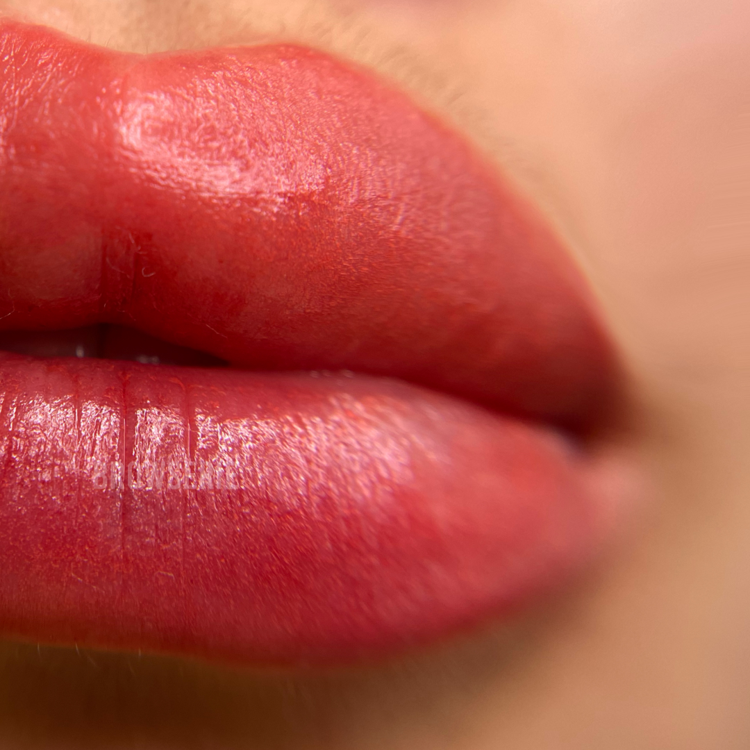 Lip Blush (1 free touch up)