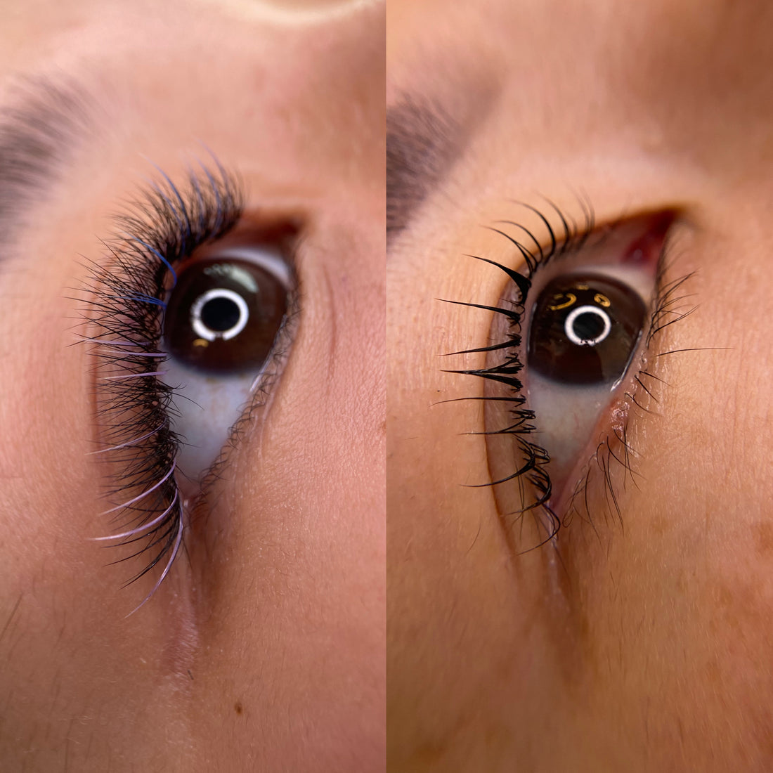 Lash Lift vs. Lash Extensions: Which One Should You Choose?