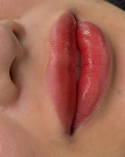 Ombre Lips (1 free touch up)