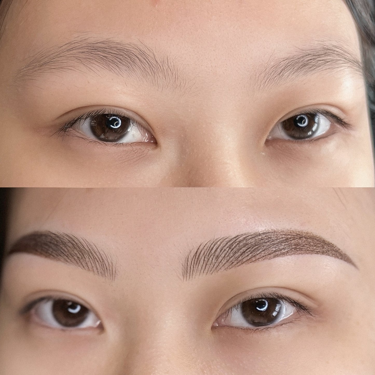 Nano Hairstrokes Combination Brows